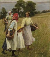 Blackberry Harvest