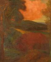 End of the Day (Surrey Woodland)