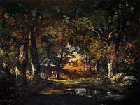 Pool in the Forest