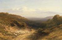 Landscape with Sheep