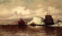 The Coast of Labrador