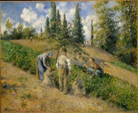 The Harvest at Pontoise