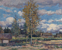 Birch Trees. Sunny Day