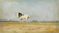 A Plough Horse in a Field