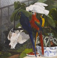 Parrots in the Garden of Plants