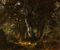 Forest of Fontainebleau