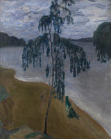 Grey Day on the Neva