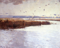 Marshes of Long Point
