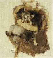 Kittens
