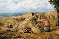 Cornfield Cradle
