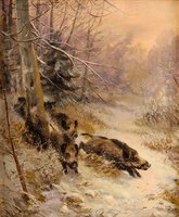 Wild Boar in Winter