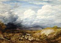 Landscape with Sheep