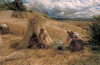 The Cornfield Shelter