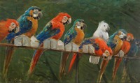 Parrots