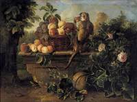 Still-Life
