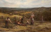 Haying and Playing