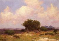 The Boerne Hills, S. W. Texas