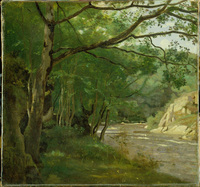 Ravine in the Morvan, near Lormes