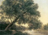 Tree by the Brook