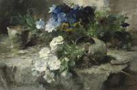 White and Blue Violets