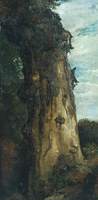 Study of a Tree