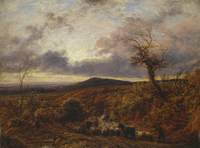 Leith Hill, Surrey