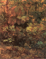 Bosque de Pacho