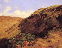 Ladera occidental del cerro de Guerrero