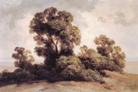 Estudio de árboles