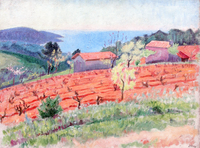 House and Vineyard in the Midi