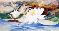 Waterlilies
