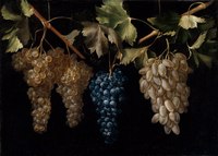 Bodegón con racimos de uvas,