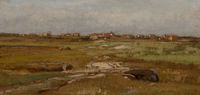 Marsh Landscape