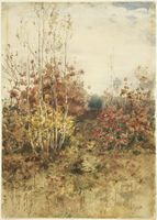 Woods in the Fall