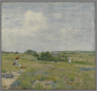 Shinnecock Hills