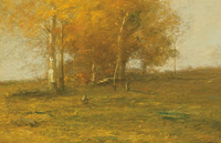 Afternoon Light