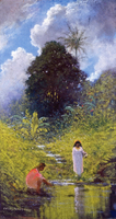 Hawaiian Landscape