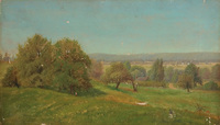 Summer Landscape