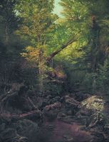 Forest Stream, Keene Valley