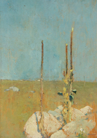 Mullein Stalks, Windham, CT