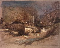 Late November in a Santa Barbara Cañon, California