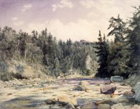 Mountain Stream