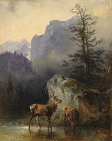 Red Deer at the Watering Place