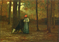 On the Edge of the Forest