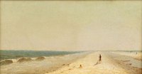 Fire Island Beach