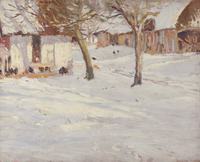 Winter Trees on the Farm
