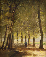 Poplar avenue with sheep herd in summer