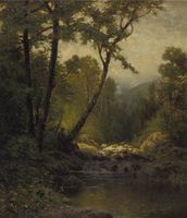 Woodland Landscape