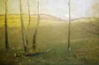 Afternoon Light On The Hills