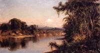 South American Landscape